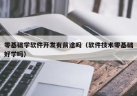 零基础学软件开发有前途吗（软件技术零基础好学吗）