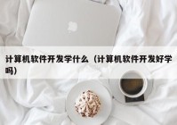 计算机软件开发学什么（计算机软件开发好学吗）