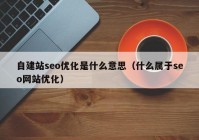 自建站seo优化是什么意思（什么属于seo网站优化）