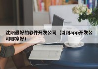 沈阳最好的软件开发公司（沈阳app开发公司哪家好）