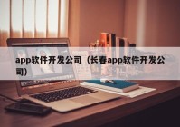 app软件开发公司（长春app软件开发公司）