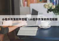 小程序开发软件流程（小程序开发软件流程图）