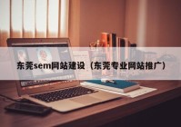 东莞sem网站建设（东莞专业网站推广）