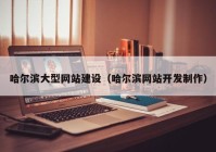 哈尔滨大型网站建设（哈尔滨网站开发制作）