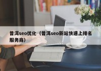 普洱seo优化（普洱seo新站快速上排名服务商）