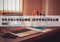 软件开发公司怎么赚钱（软件开发公司怎么赚钱的）