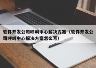 软件开发公司呼叫中心解决方案（软件开发公司呼叫中心解决方案怎么写）