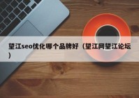 望江seo优化哪个品牌好（望江网望江论坛）