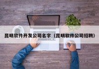 昆明软件开发公司名字（昆明软件公司招聘）